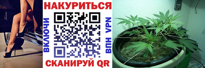 Какие есть наркотики Лосино-Петровский ГАШ Канабис Кокаин СОЛЬ Амфетамин Псилоцибиновые грибы Меф